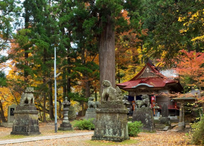 nakano shrine