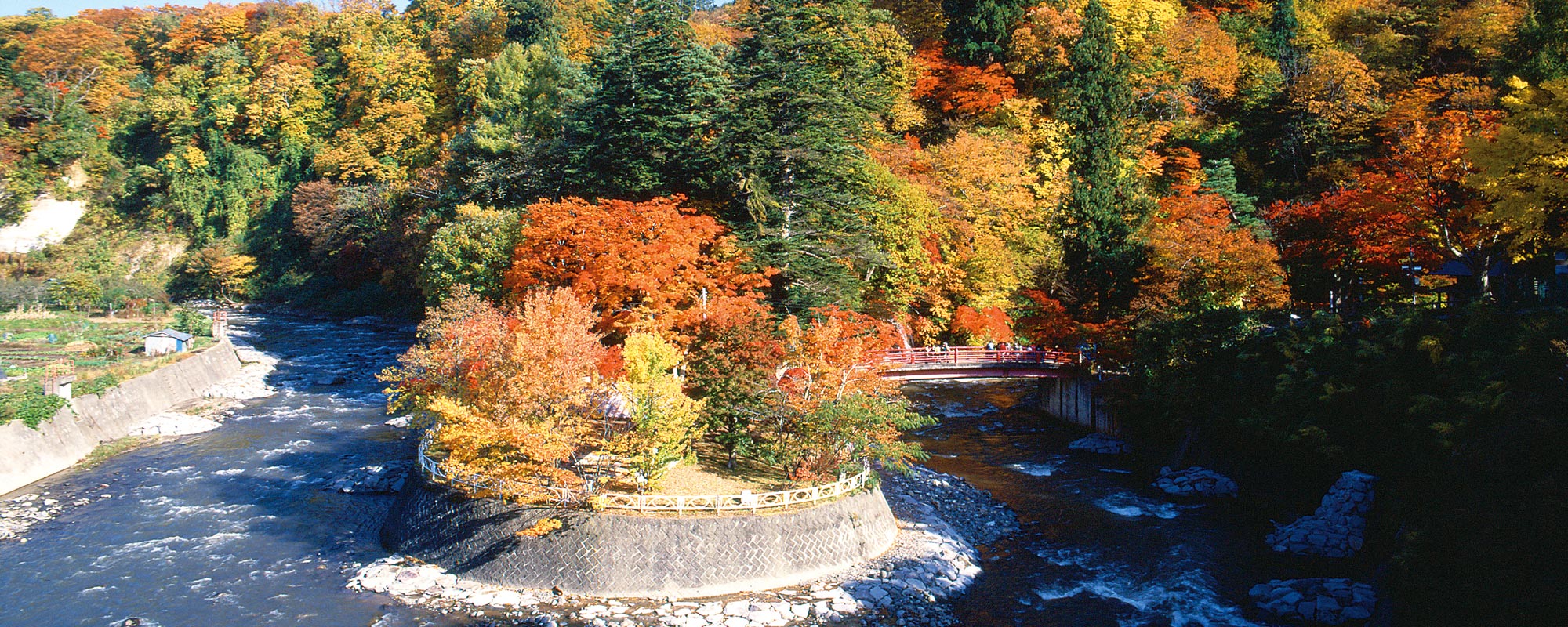Nakano Maple Mountain Autumn Foliage and Night Illumination